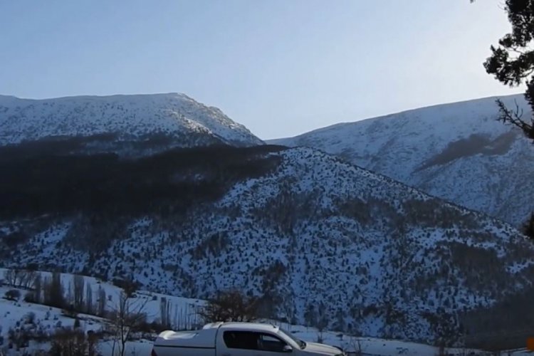 Yaban ke&ccedil;isi avlarken su&ccedil;&uuml;st&uuml; yakalandı