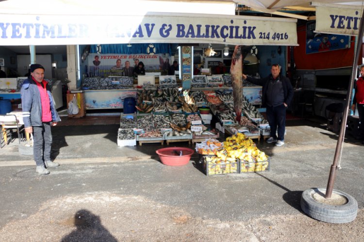 2 metrelik yayın balığı yakalandı