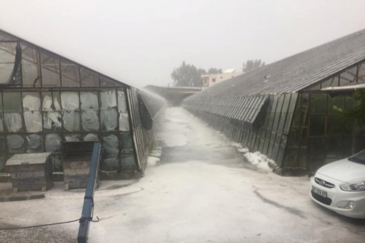 Dolu yağışı seralara zarar verdi