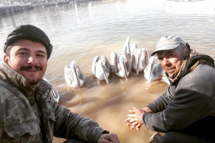Bursalı doğa fotoğraf&ccedil;ısından yaban hayatı klibi