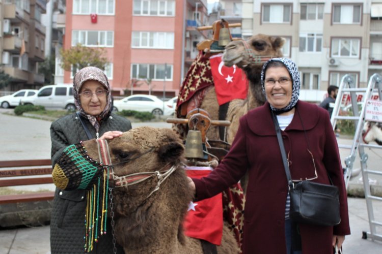 Bursa sokaklarına deve gezintisi!