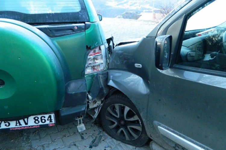 K&ouml;peğe &ccedil;arpmamak i&ccedil;in araca &ccedil;arptı