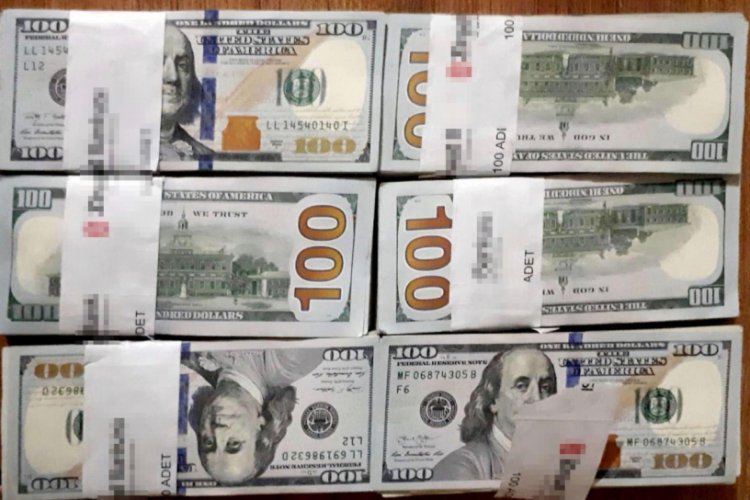&Ccedil;&ouml;pe atılan 70 bin dolarının izini takip edip buldu