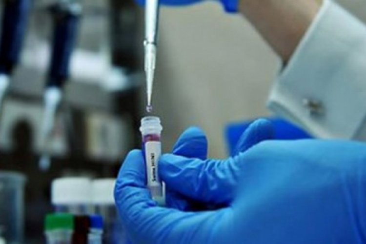 &Uuml;rd&uuml;n'de domuz gribi vakası y&uuml;kseldi