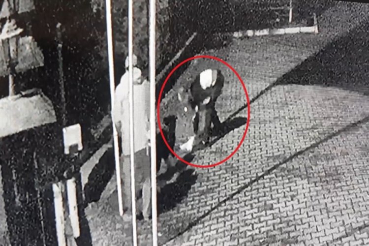 Boğulma tehlikesi ge&ccedil;iren k&ouml;peği kalp masajı kurtardı