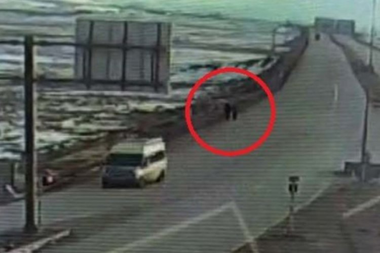 HDP'li il&ccedil;e başkanı, PKK'lı ter&ouml;riste yardım ettiği iddiasıyla tutuklandı