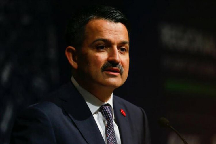 Bakan Pakdemirli'den at-eşek eti ithalatı a&ccedil;ıklaması