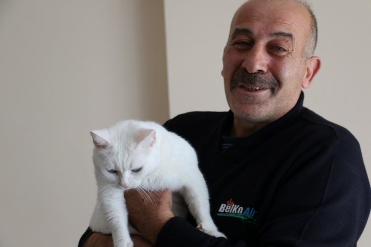 Şof&ouml;r yaralı yavru kediyi hayata bağladı