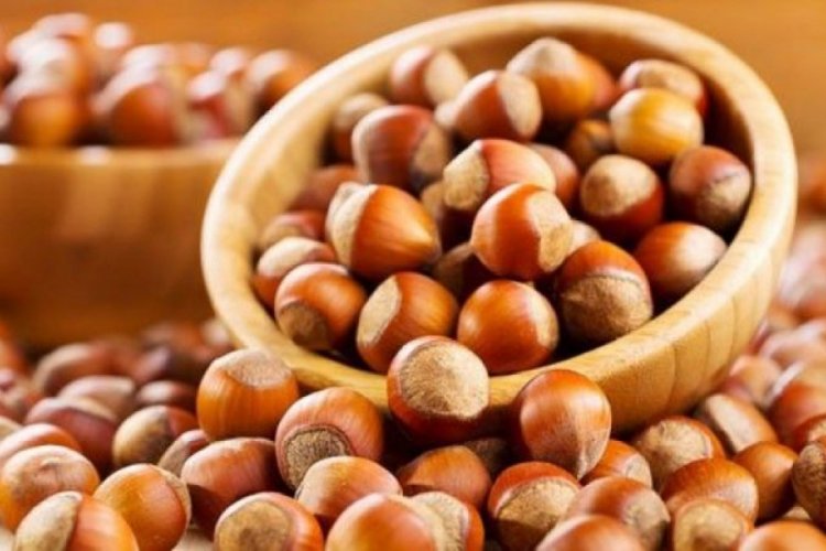 Giresun'dan Ordu'ya fındık cevabı