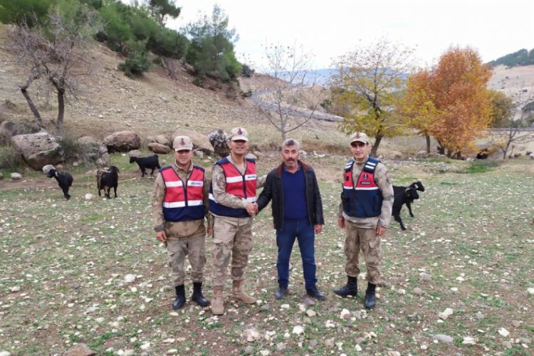 Koyun dolandırıcıları yakalandı