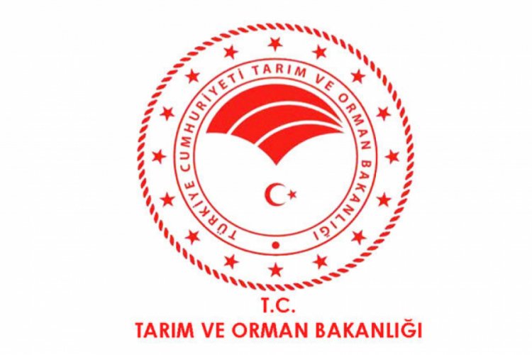 ''Sıfır g&uuml;mr&uuml;kle 500 bin ton buğday ithal edilebilecek'' iddialarına yanıt