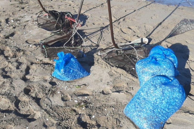 Bursa'da ka&ccedil;ak midyeciler yakalandı