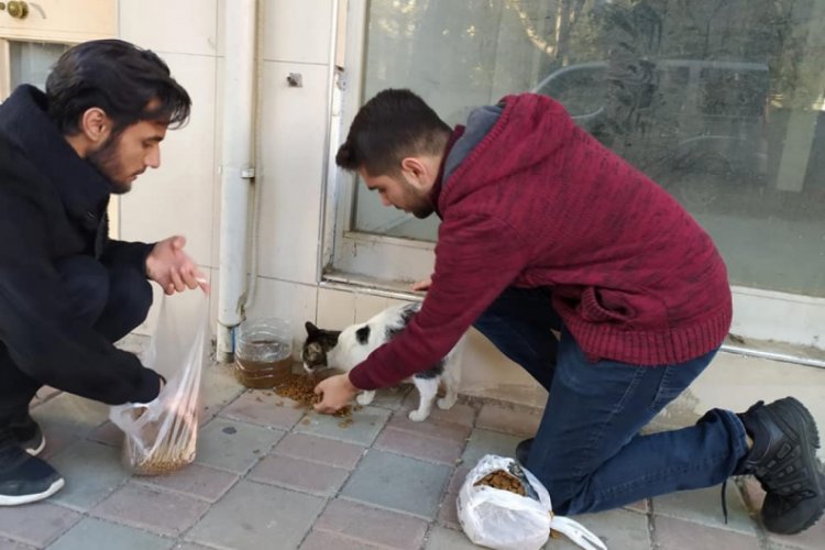 'Ahbaplar' sokak hayvanlarının karnını doyurdu