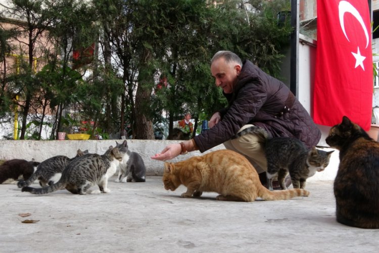 15 yıldır kapısı kedilere a&ccedil;ık