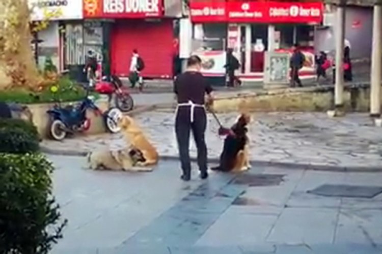 Esnaf s&uuml;p&uuml;rgeyle sokak k&ouml;peklerine masaj yaptı