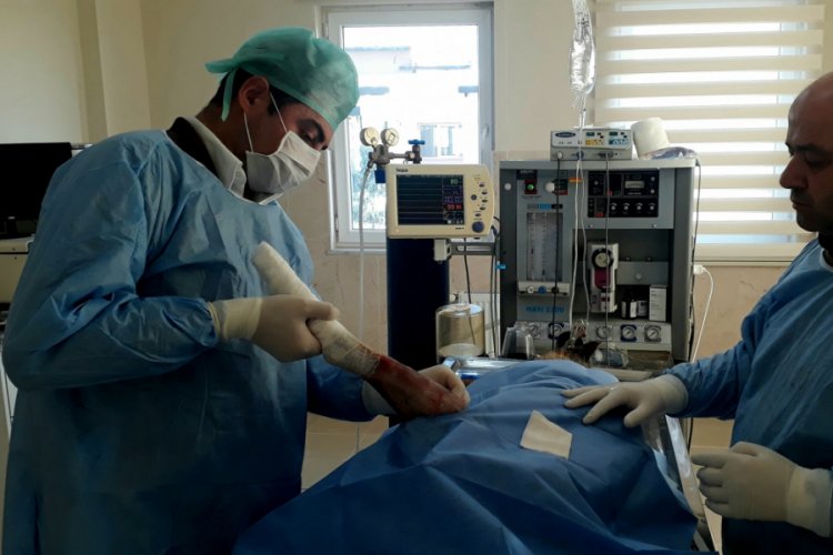 Bursa İneg&ouml;l Belediyesinden sokak hayvanlarına tedavi desteği