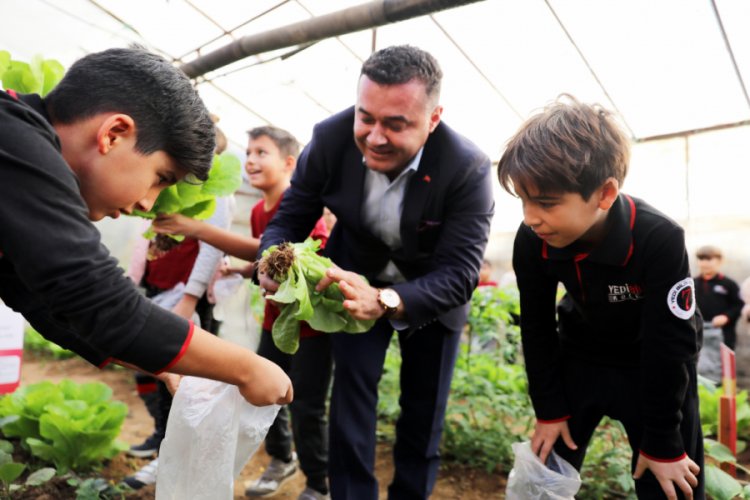 Minikler kurdukları serada organik sebze yetiştiriyor