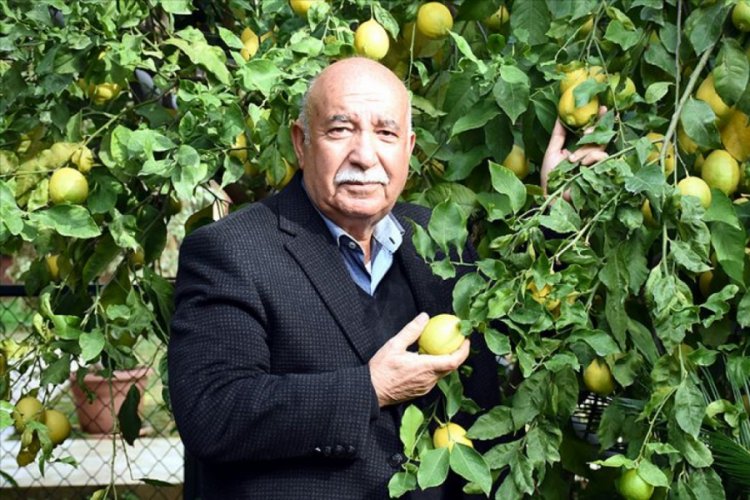 Kansere &ccedil;ok sevdiği işi ile karşı koydu