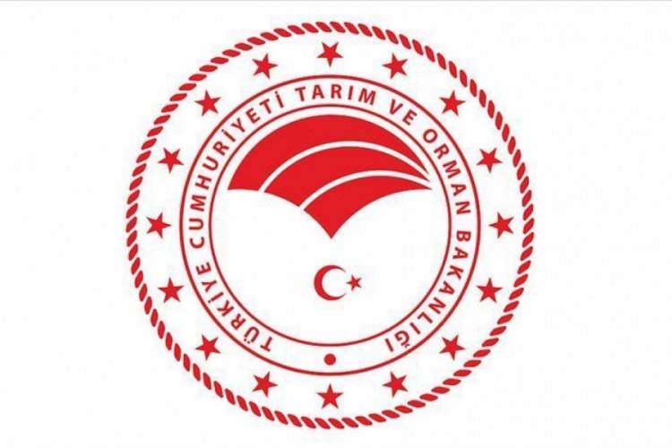 Tarım ve Orman Bakanlığı: &Uuml;lkemiz yurt i&ccedil;inde t&uuml;ketilmek &uuml;zere şeker ithalatı yapmamaktadır