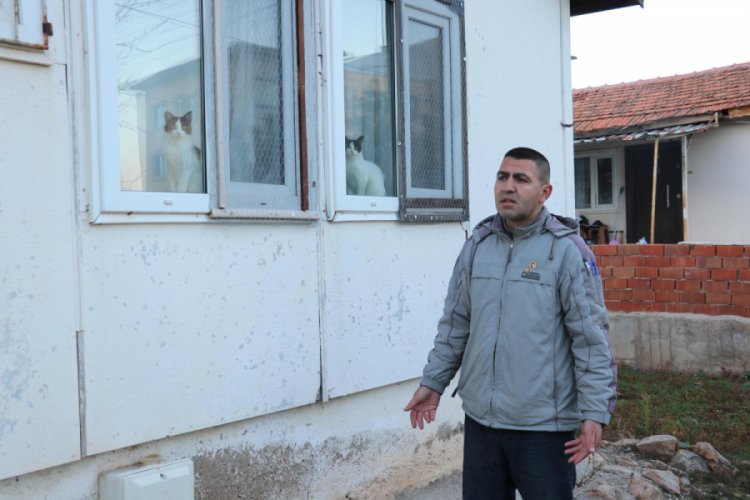 6 sokak kedisi bir ay i&ccedil;inde &ouml;ld&uuml;r&uuml;ld&uuml;