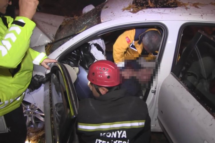 Ağaca &ccedil;arpan otomobilin s&uuml;r&uuml;c&uuml;s&uuml; hayatını kaybetti
