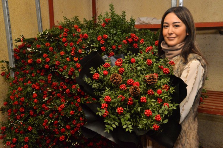 Noel i&ccedil;in Avrupa'ya 70 milyon dal &ccedil;i&ccedil;ek g&ouml;nderiliyor