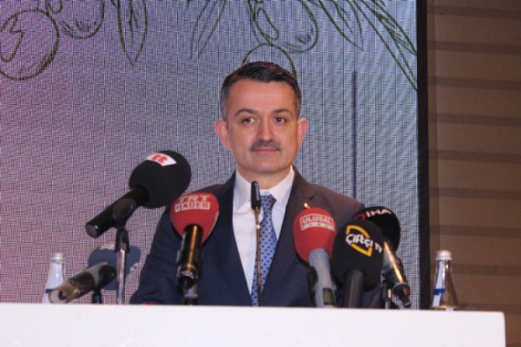 Bakan Pakdemirli'den tağşiş a&ccedil;ıklaması