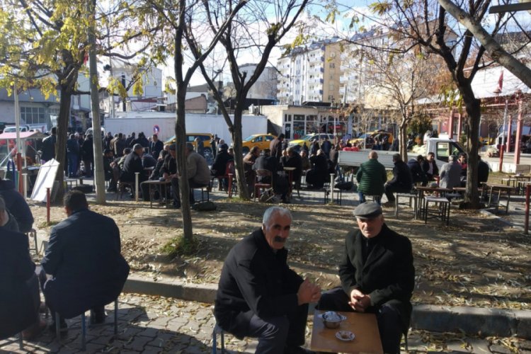 Kış mevsiminde bahar havası yaşanıyor