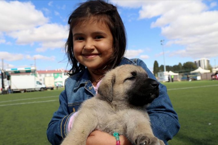 &Ccedil;ocukluğunu k&ouml;pek beslenen evde ge&ccedil;irmek şizofreni riskini azaltabilir