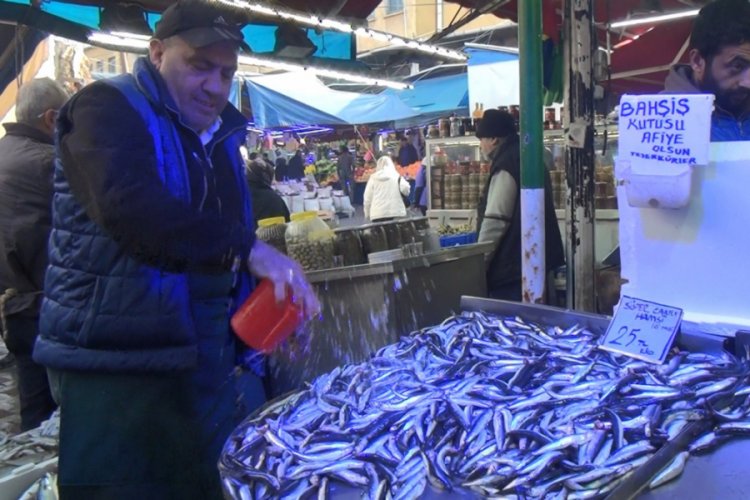Sıcak havalar balık tezgahlarını vurdu! Bursa'da fiyatlar cep yakıyor