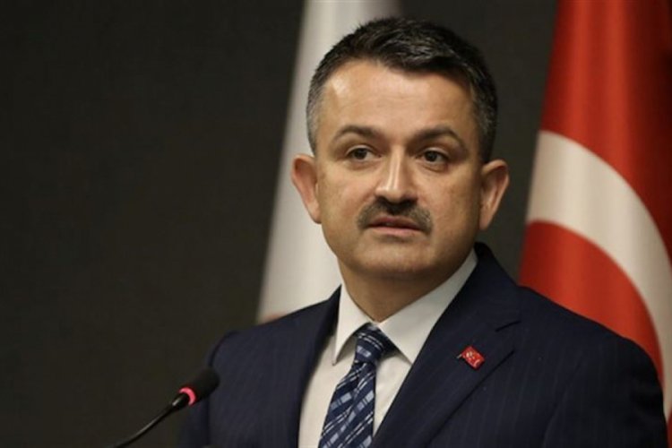 Pakdemirli: Para cezalarının artırılması gerektiğini d&uuml;ş&uuml;n&uuml;yorum