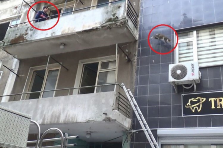 İnat&ccedil;ı kedi itfaiyecileri uğraştırdı