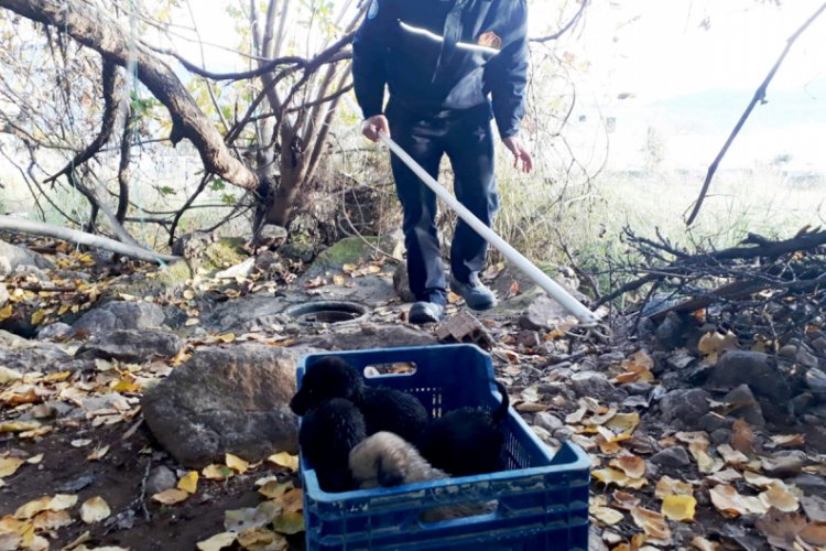 &Ouml;l&uuml;m&uuml; bekleyen yavruları itfaiye kurtardı