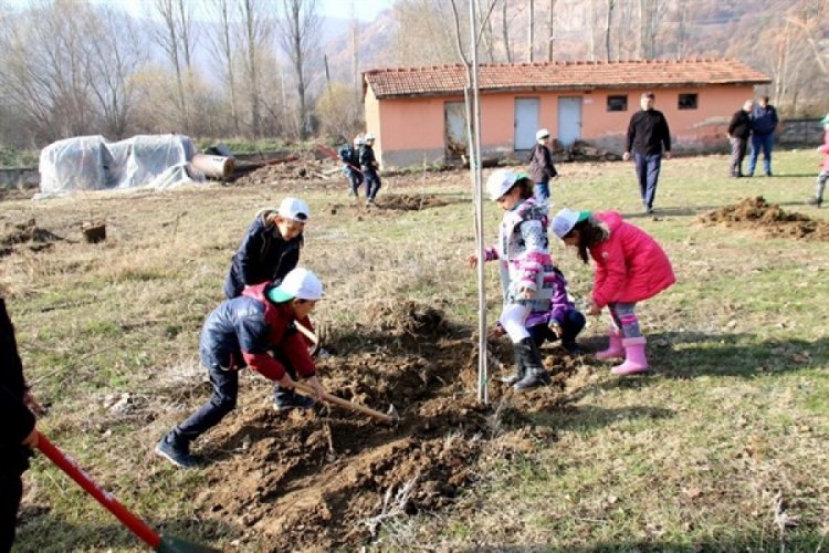 Orman B&ouml;lge M&uuml;d&uuml;rl&uuml;ğ&uuml;nden fidan dikim etkinlikleri