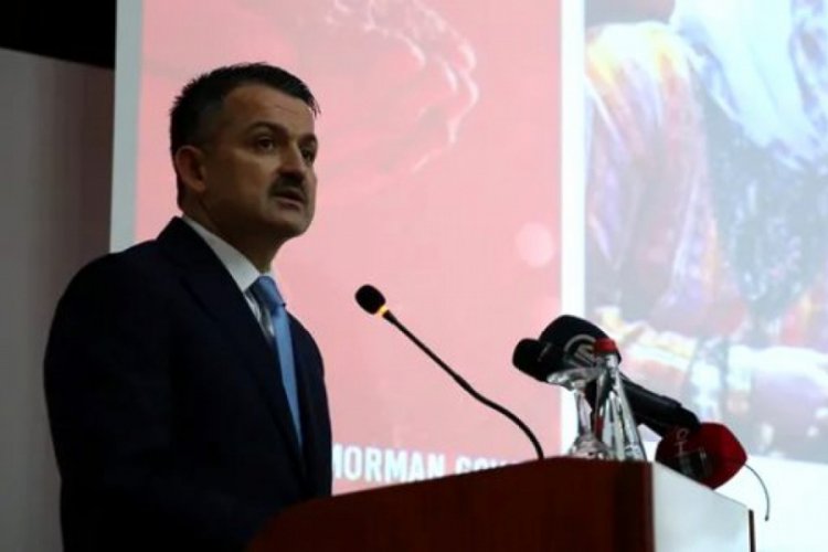 Bakan Pakdemirli: Vatandaşımın sağlığıyla oynayanların ciddi ciddi canını yakacağım