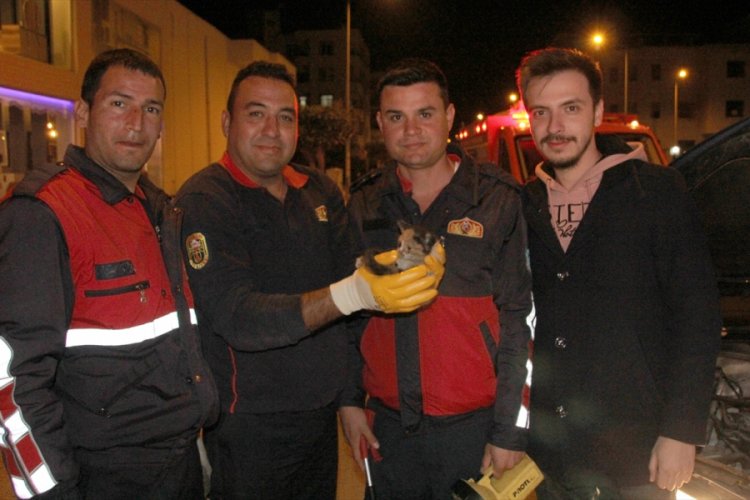 Kaputa sıkışan yavru kedi kurtarıldı