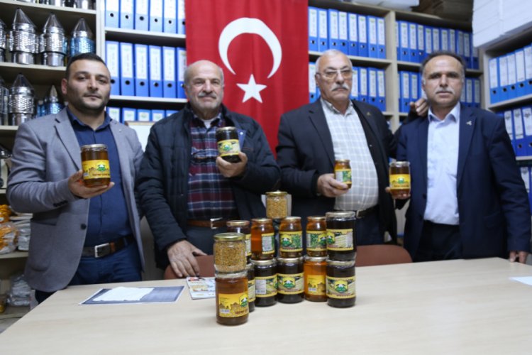 "Kilosu 120 bin liraya bal olmaz"
