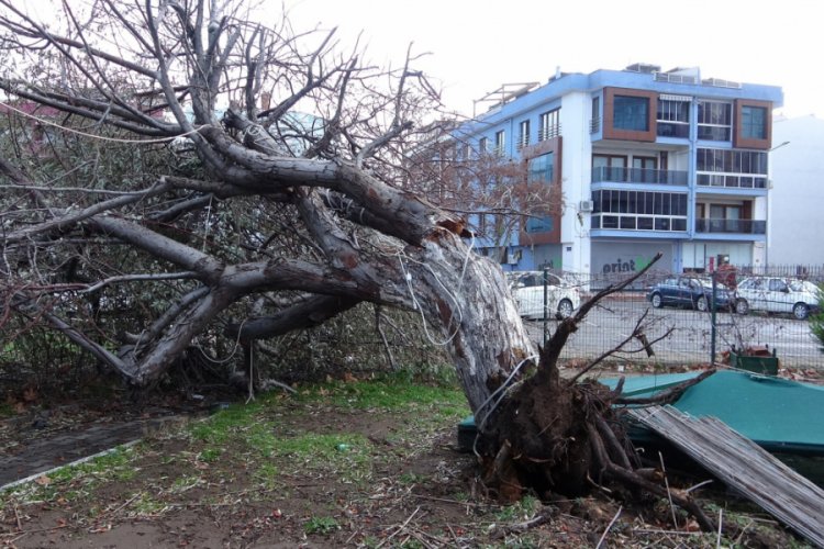 &Ccedil;anakkale'de lodos yaşamı olumsuz etkiledi