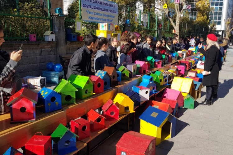 &Ouml;ğrenciler, kuşlar ve kediler &ccedil;in 400 yuva yaptı