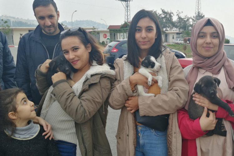 Tepki g&ouml;sterdikleri barınağı ziyaret edip, hayvanları sahiplendiler