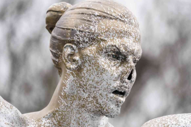 İbrahimovic heykeline bir saldırı daha