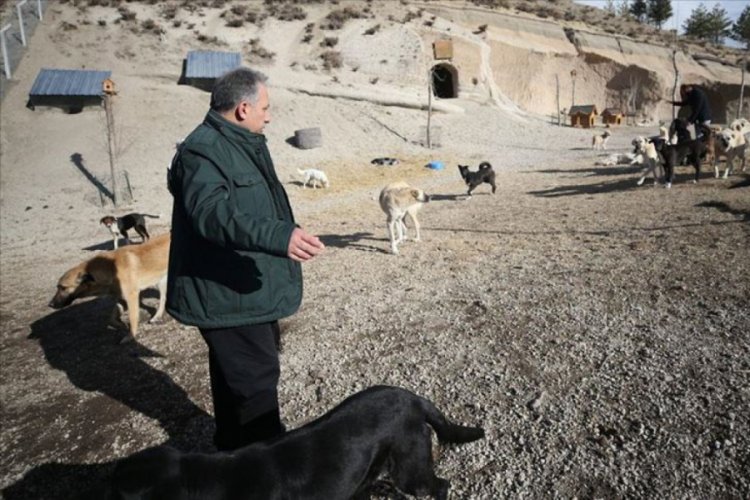 Hasta ve sahipsiz k&ouml;peklere kayadan oyma mağarada 'yuva' konforu