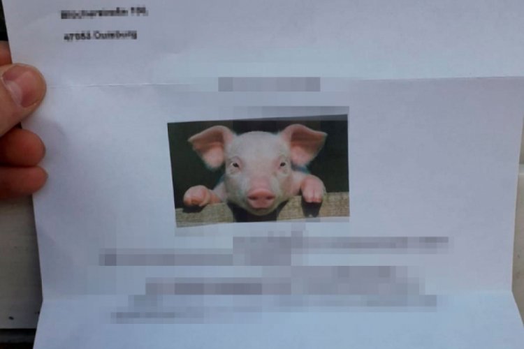 Almanya'da camiye domuz fotoğrafı bulunan mektup g&ouml;nderildi
