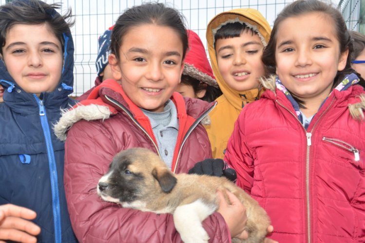 Har&ccedil;lıklarıyla hayvanlara sakatat aldılar
