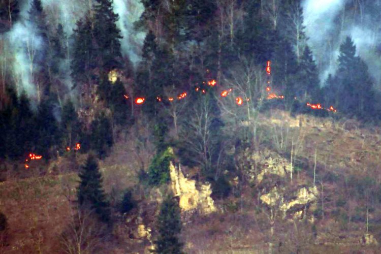 Karadeniz'de yangın alanı sayısı 69'a y&uuml;kseldi