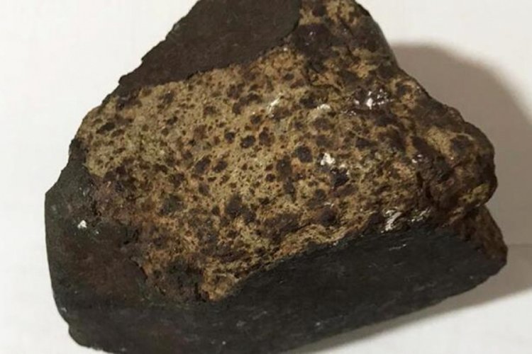 Ceviz ağacı dikmek isterken meteorit buldu