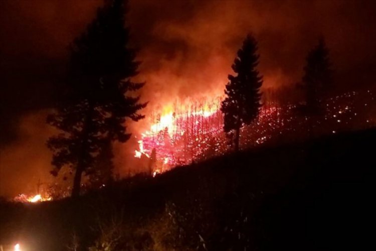 &Ouml;rt&uuml; yangınları ile ilgili Valilik'ten bir a&ccedil;ıklama daha geldi