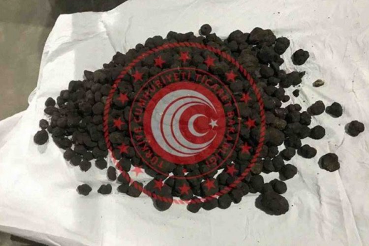 1 milyon lira değerindeki tr&uuml;f mantarına alıcı &ccedil;ıkmadı