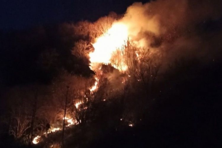 Karadeniz'deki 45 orman yangını kontrol altına alındı
