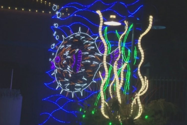 New Mexico sokakları şimdi ışıl ışıl